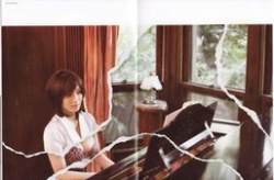 撕开美女写真,撕开美女写真背后的故事