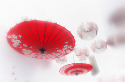 樱花写真雨伞,樱花雨伞下的浪漫邂逅