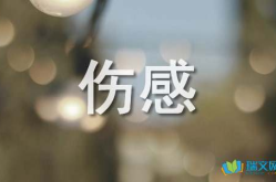 qq个性签名伤感文案,情感抒发与心灵共鸣的瞬间”